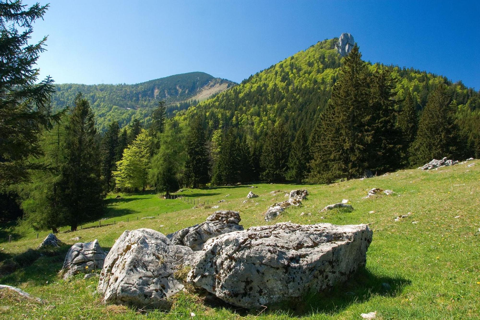 Gaestehaus Weissenbacher-ferienwohnungen Appartamento Marquartstein
